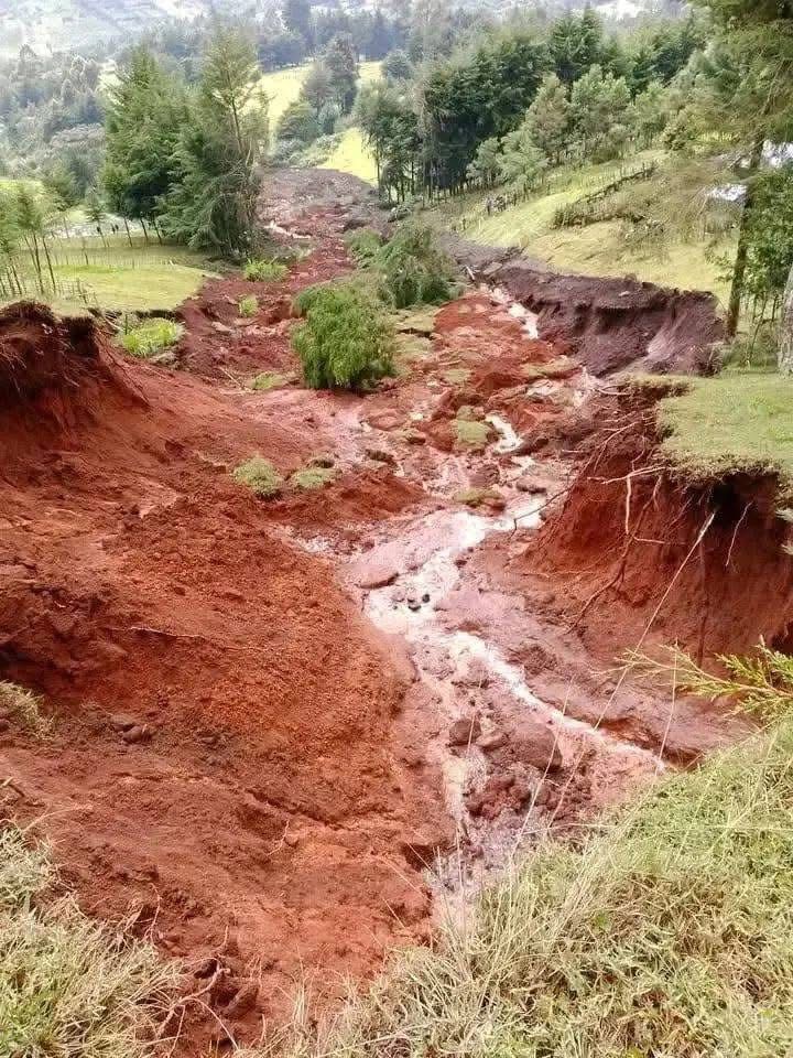 Elgeyo Marakwet Evidence Review